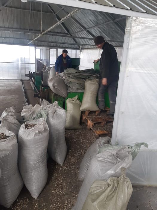 Лузга, жмых, масло кормовое (чернуха)