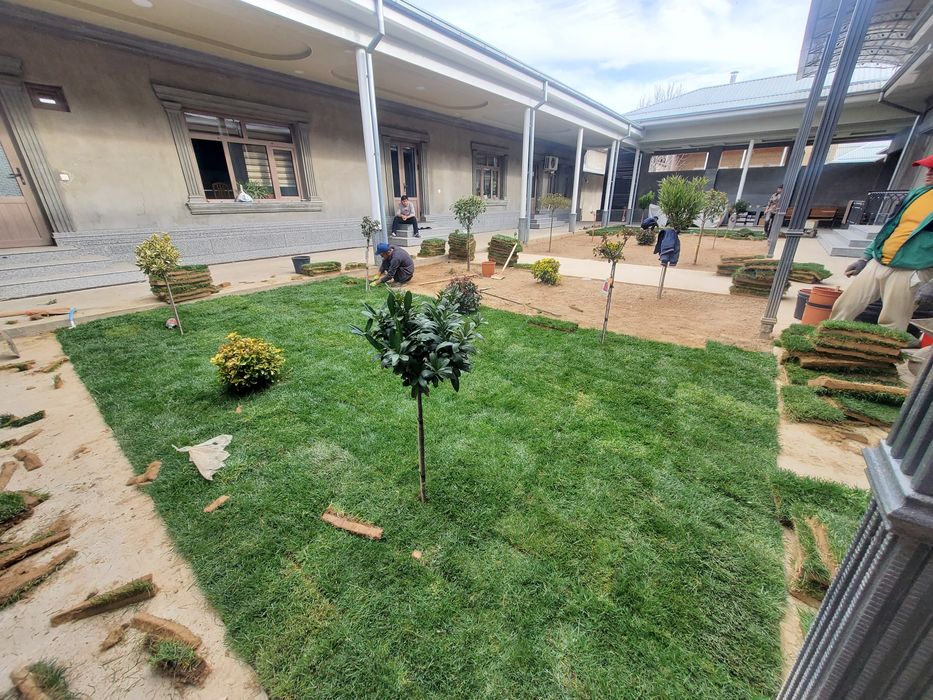 Gazon ekamiz ( kafolat va sifat bilan