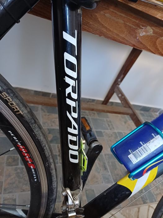 Vand sau la schimb cursiera