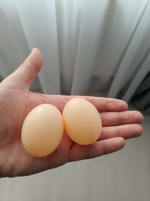 Adapatori automate pentru pasari / oua false din plastic