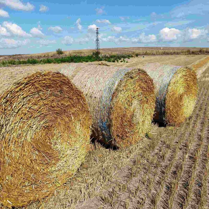 Ролонна бала слама