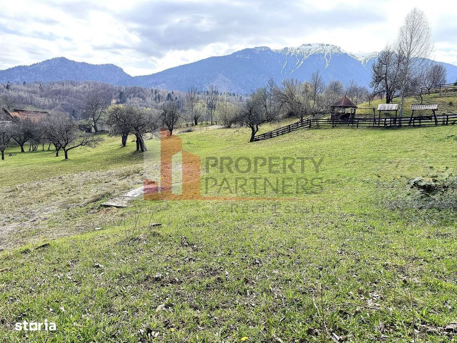 Teren 2.495 Mp | Bran – Sohodol | Vedere Panoramică Spre Bucegi