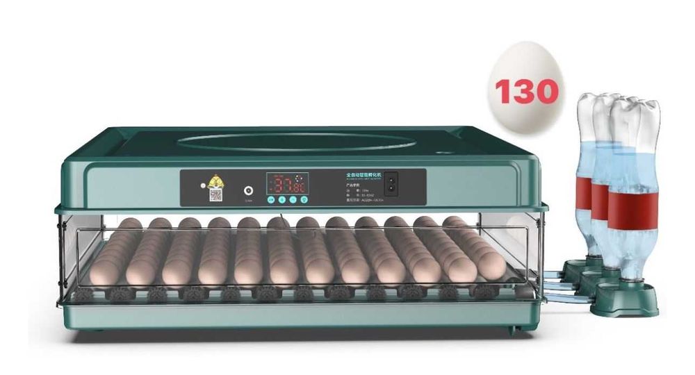 Инкубатор Для яиц