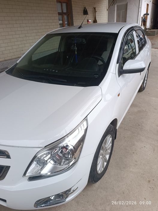 Кобиль 2019 тозза