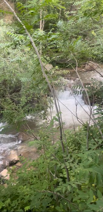 Чарвак, 10га под зону отдыха