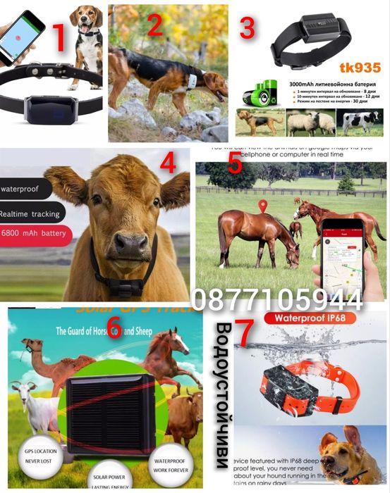 GPS Tracker ДжиПиЕс тракер за ловно куче Hunter pro IK122 водоустойчив