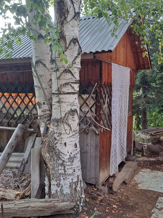 Продам пасеку дачу