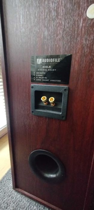 ТОП СЪСТОЯНИЕ чифт 2 броя тонколони AUDIOFILE 830LR
