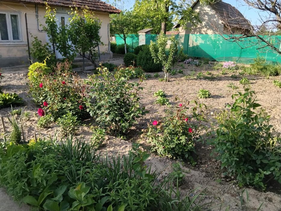 Casă bătrânească Perieți, Ialomița
