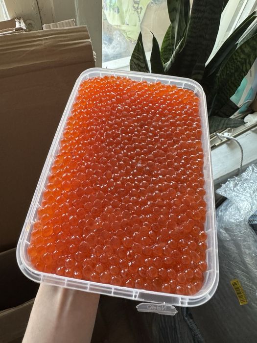 Красная икра форели, горбуши, кеты