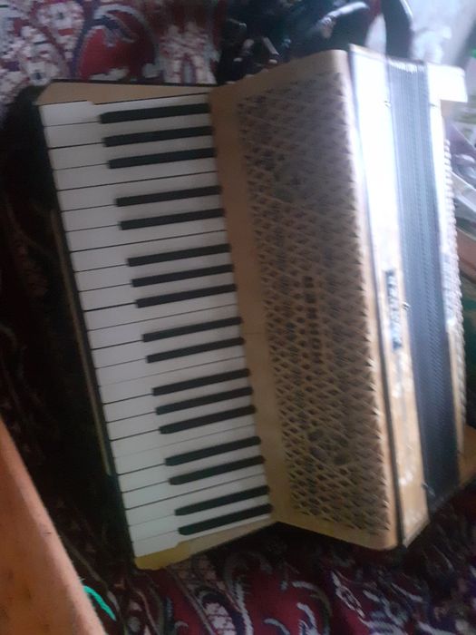 Vand Hohner verdi 2