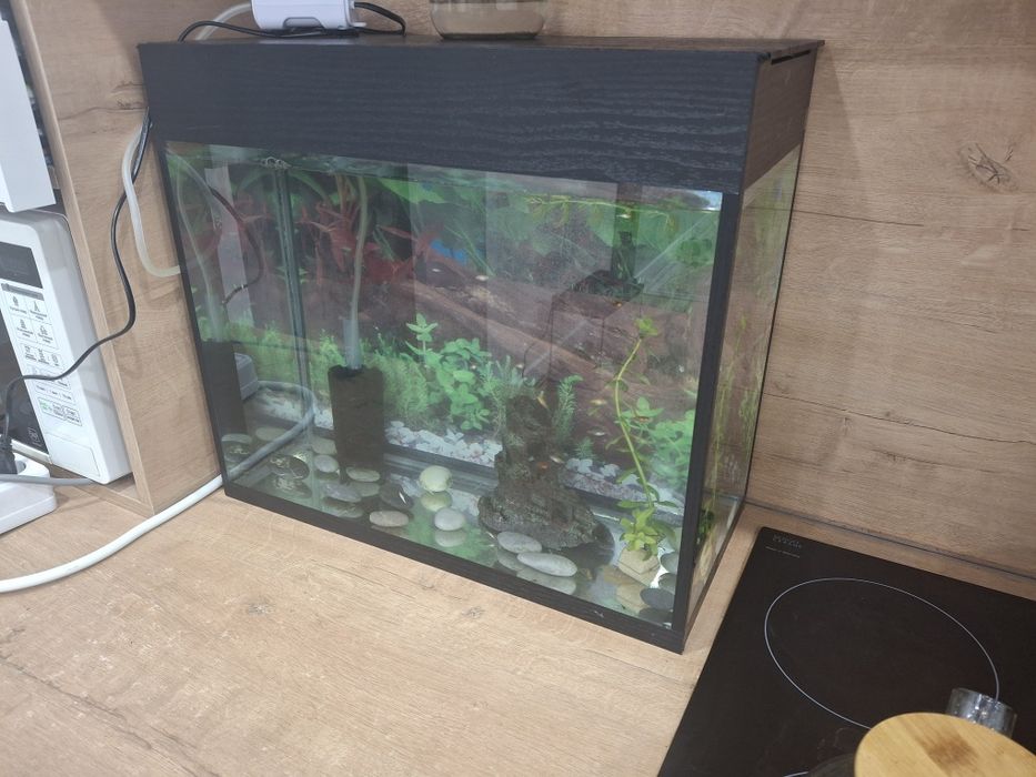 Аквариум 35 литров