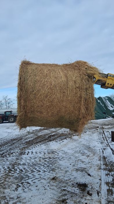 Baloti Fan rotunzi f.b. La TIR min 40.Oferta Luni.
Baloti rotunzi Fan