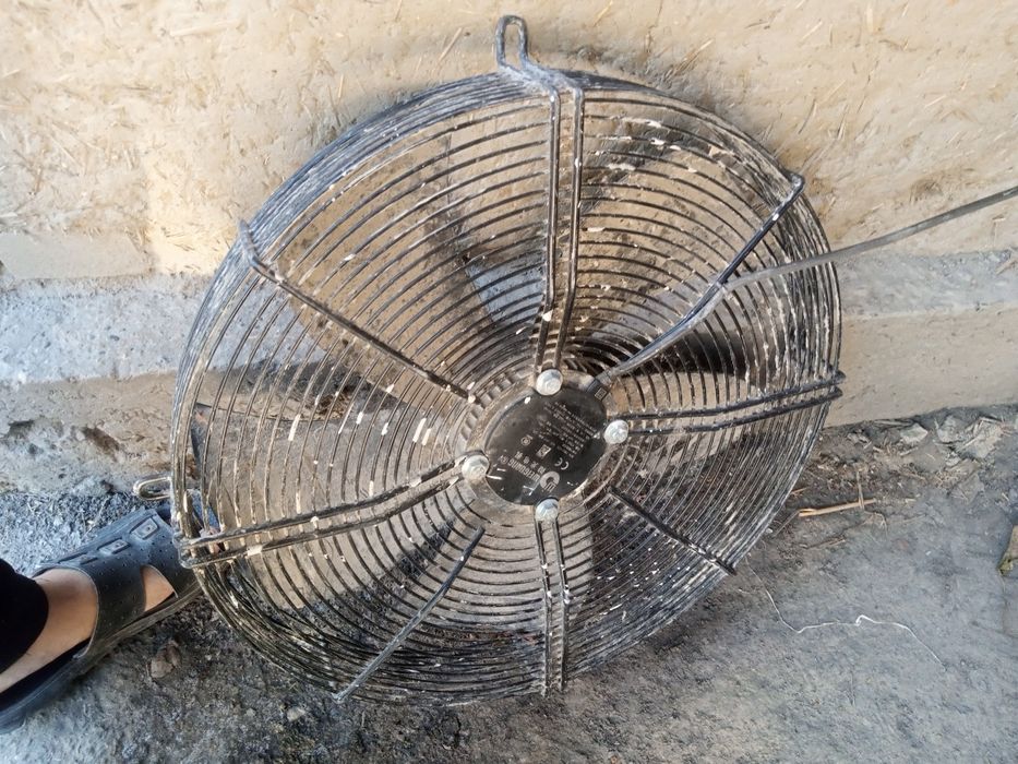 Tovuq boqish uchun uskunalar