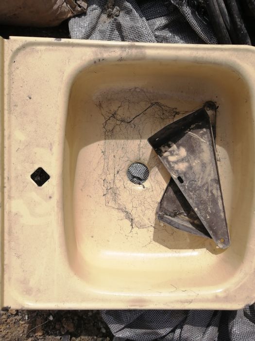 Раковина, тюльпан.