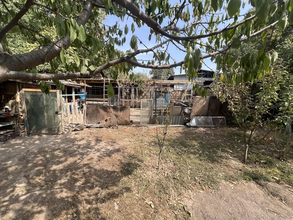 G'azalkent Hokimyat yonida yer sotiladi lakatsiya yaxshi hamma sharoit