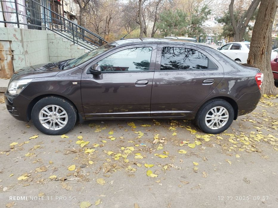 2021 краска тозза