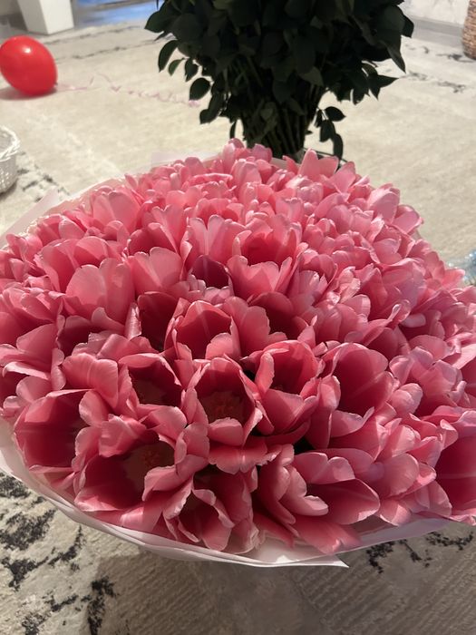 51 тюлпан свежый,25.000тг