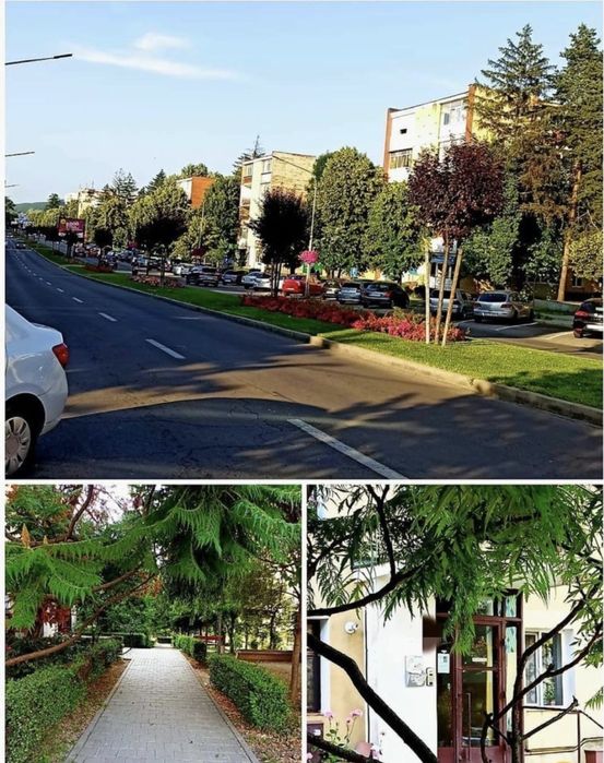 Vanzare apartament 3 camere Calea Bucuresti