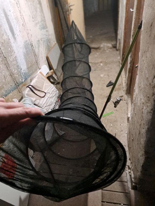 Bete pescuit , plase