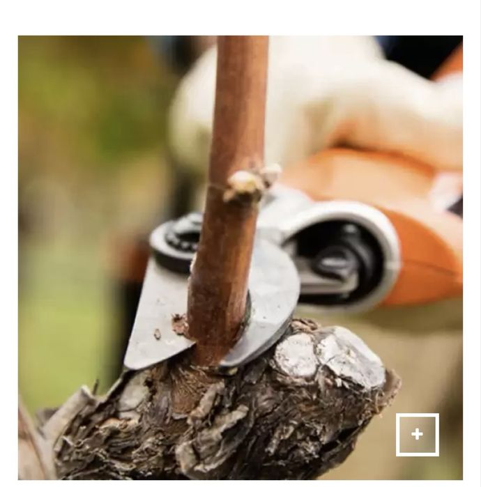 Foarfeca de taiere gard viu cu acumulator Stihl
