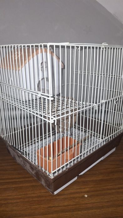 Клетка 2 этажа для хомяка