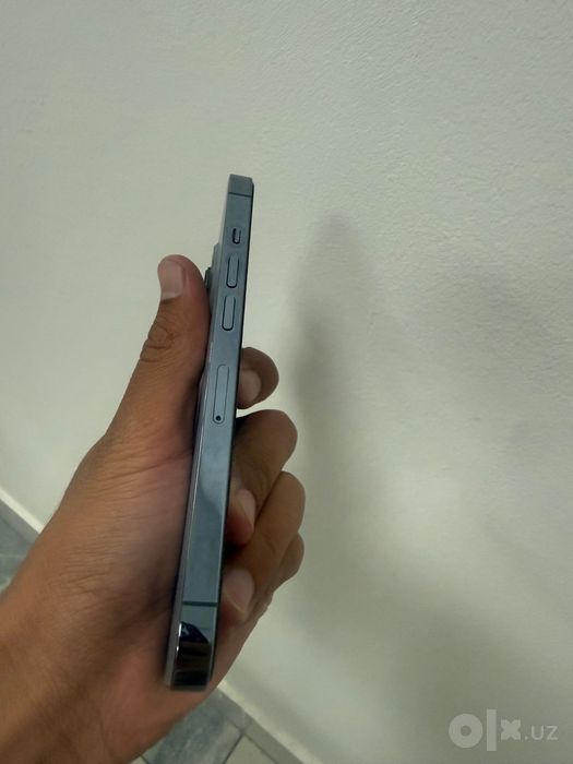 Iphone 13 pro Кук