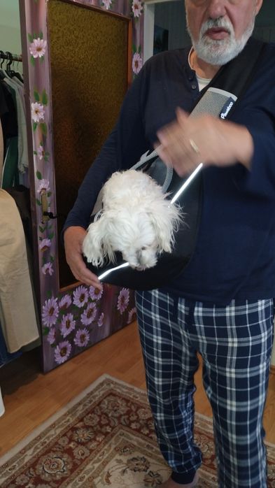 Vând geanta transport cățel,pisică