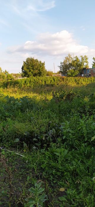 Дачу продам в хорошем состоянии