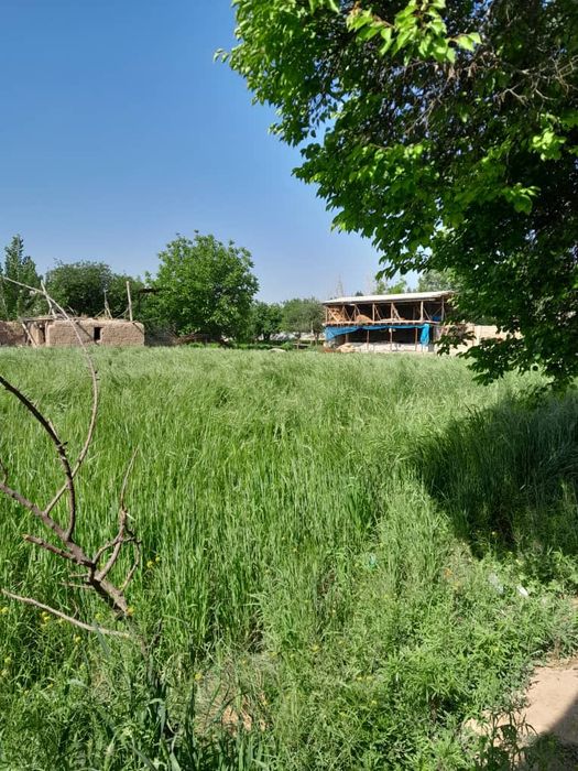 Tomorqa sotiladi. Арзон йер сотилади. Денов.