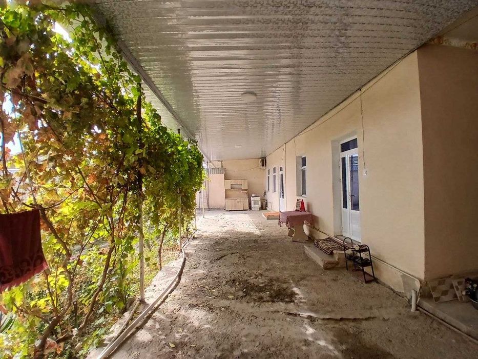 shofirkon tumanida hovli