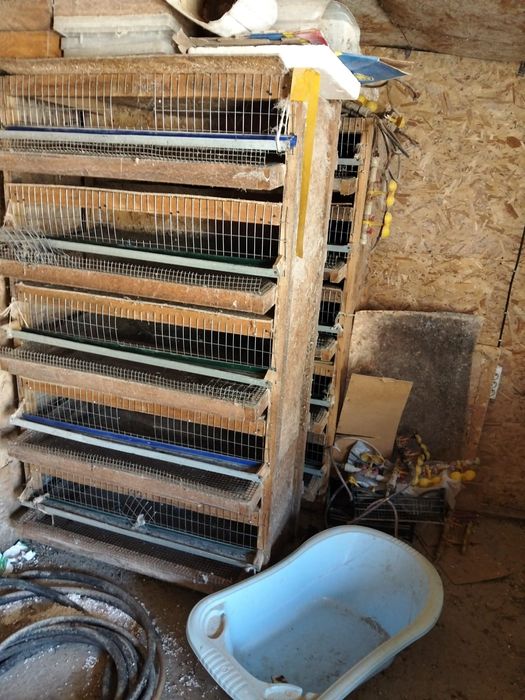 Продаются клетки для перепелок и брудер