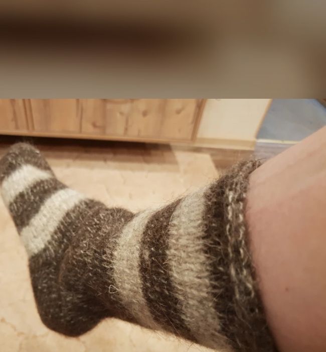 Продам новые собачий носки