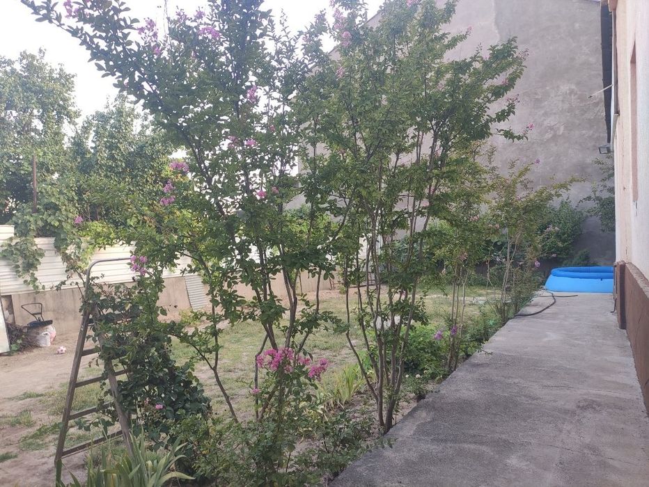 Fasad 20/23 Hovli Sotiladi