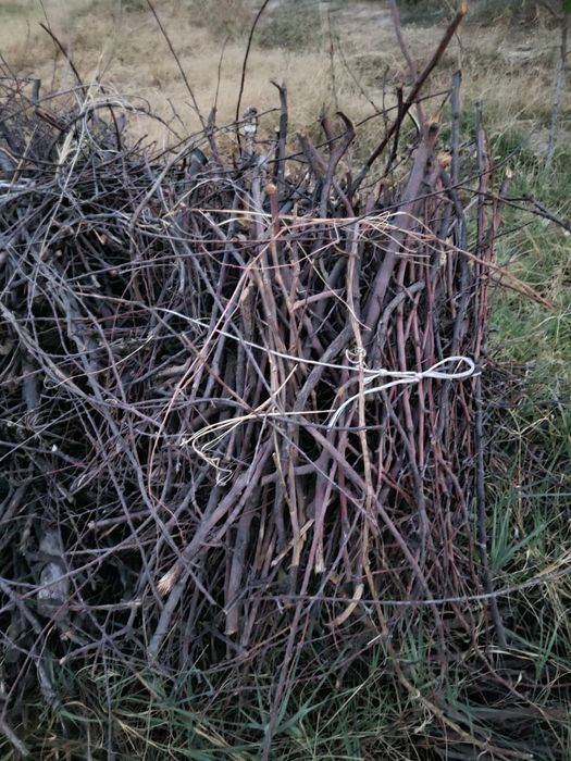 Продаю дрова. Очень быстро