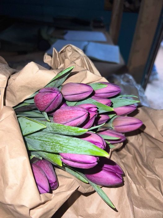 Тюлпаны Алматы опт розница