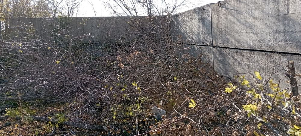 Продам участок с домом срочно срочно.