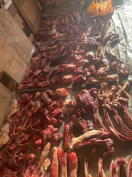 Екі елі бие 4 жасар