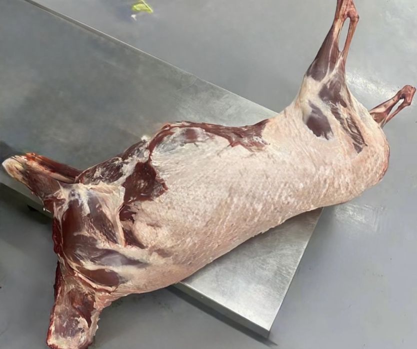 Киік еті , сайгак мясо