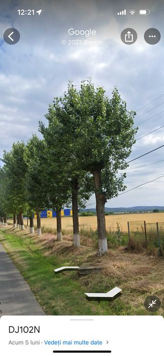Vand teren intravilan in zona industrial Ceptura