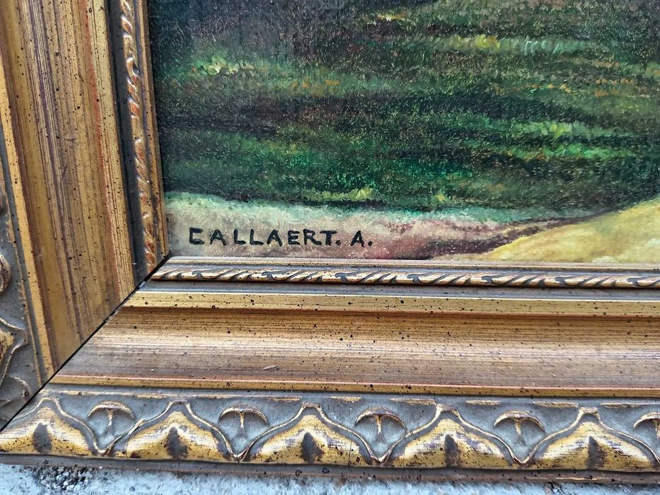Tablou vechi - cioban cu oi si capre - semnat Callaert A