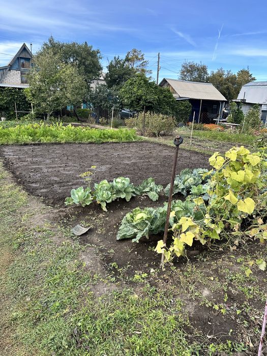 Продам дачу ск автомобилист