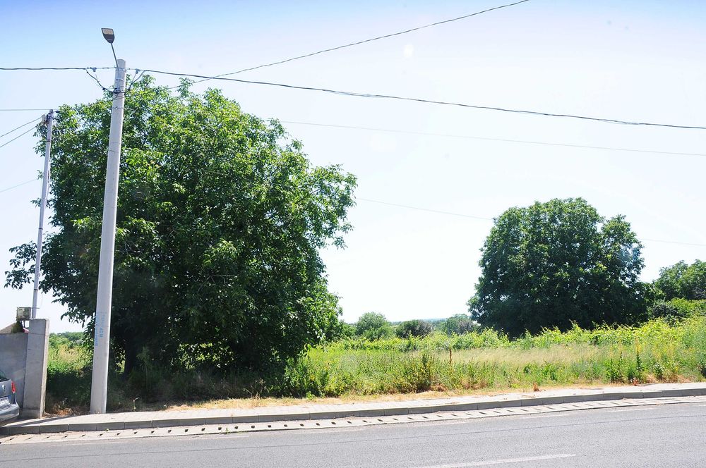 Vand teren intravilan la Șoseaua Focșani-Cotești 7.300 mp, deschidere la șosea 24.5 metri, 2 drumuri de acces