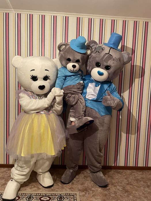 Мишки Тедди в новых костюмах