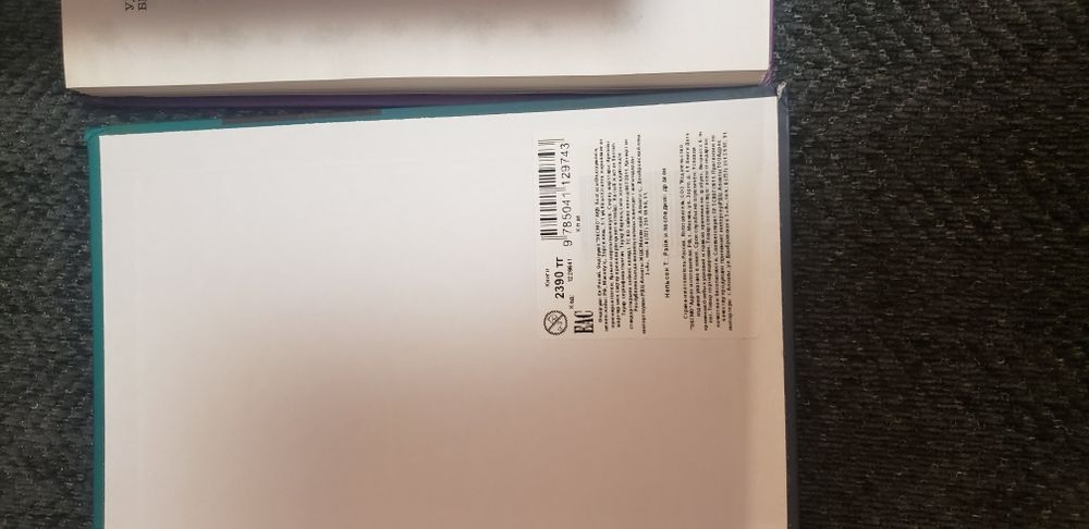 Интересные книги детям. Цена за обе.