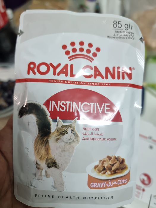 Влажный кошачий корм