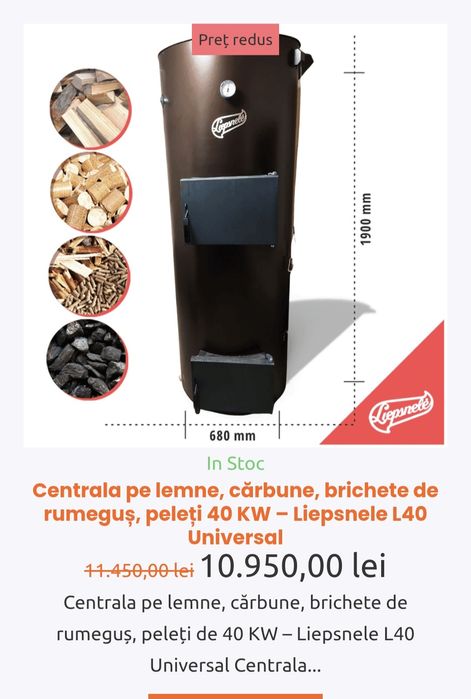 Centrală termică pe lemne si cărbuni Liepsnele