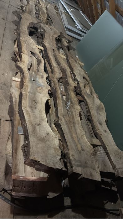 Blaturi de masa nuc stejar frasin salcam