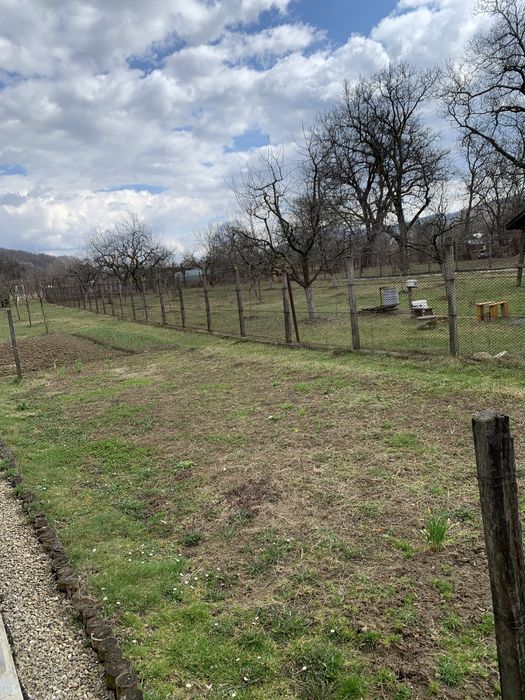 Teren de vânzare Aluniș (2419 mp.)