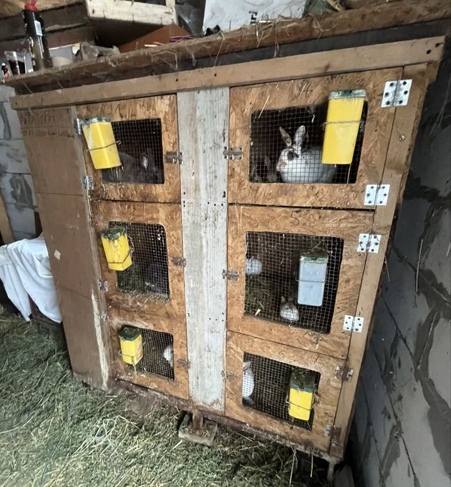 Disponibile 2 cuști pentru  iepuri ! Citiți descrierea !